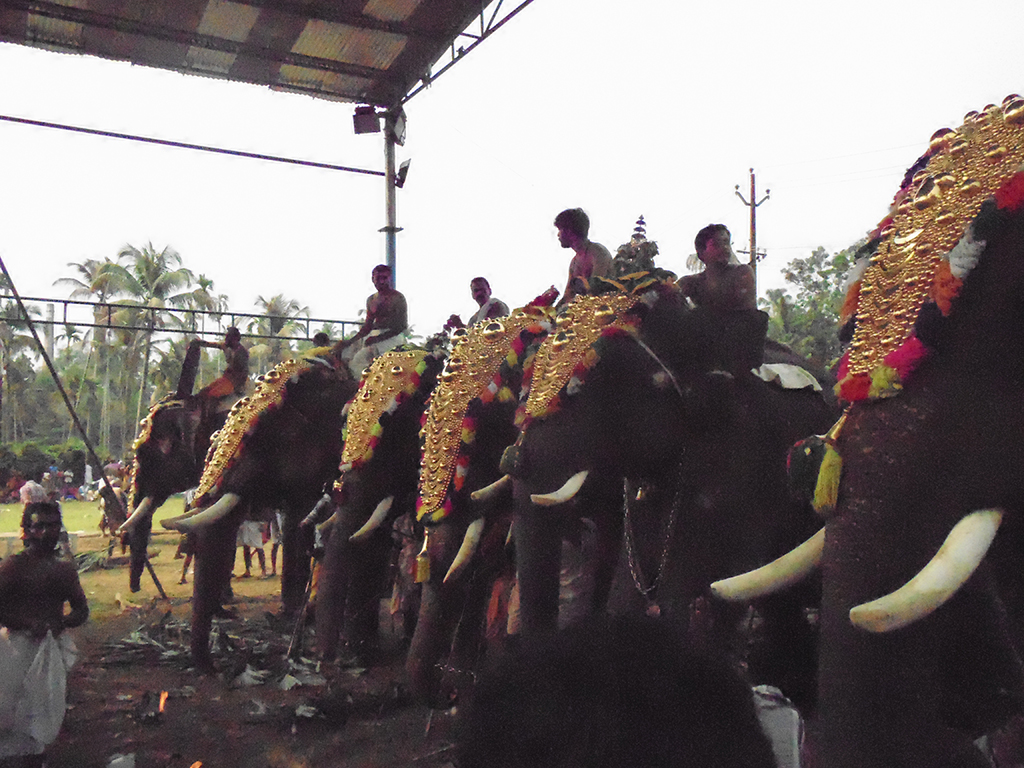 Sasthav at Pidikyaparambu 2015